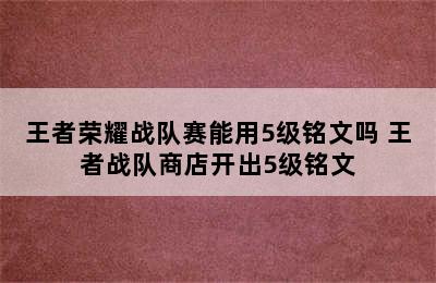 王者荣耀战队赛能用5级铭文吗 王者战队商店开出5级铭文